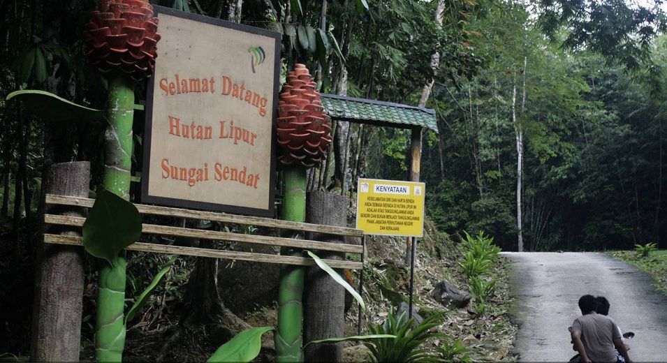 fiberglass manufacturing companies